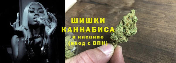 шишки Аркадак