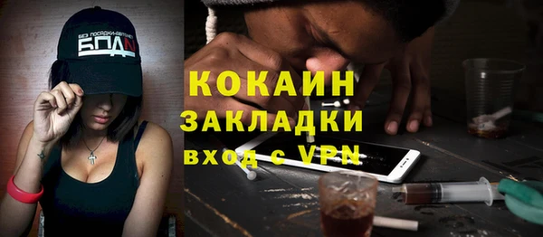 шишки Аркадак