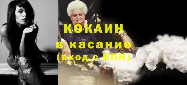 шишки Аркадак