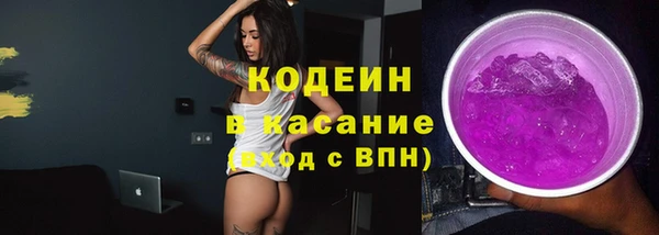 дурь Арсеньев