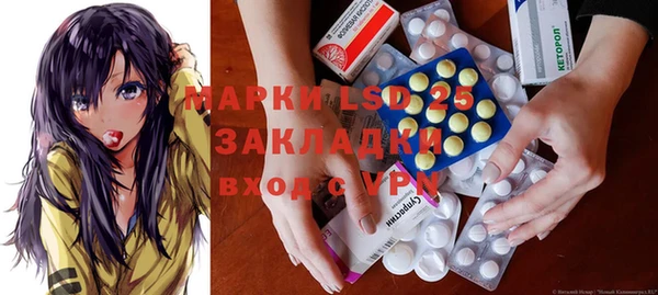 шишки Аркадак