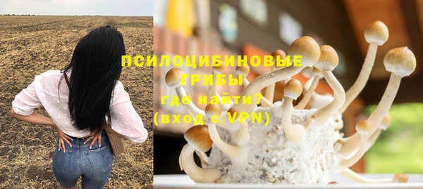 шишки Аркадак